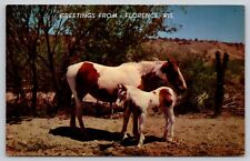 Postcard Greetings From Florence Wisconsin Horses picture