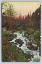 Mountain Water Fall Laquin Pennsylvania 1909 Antique Postcard picture