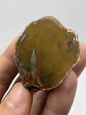 Yellow Moss Kentucky Agate picture