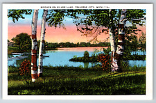 c1940s Birches Silver Lake Traverse City Michigan Vintage Linen Postcard picture