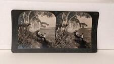a025, Keystone Stereoview, East over Mississippi Bay, Japan, 034F-*3849, 1920s picture