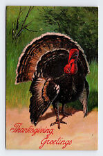 Thanksgiving Greetings Turkey Embossed Germany PFB 7721 Postcard picture