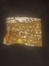 Leopardskin Jasper  (Slab 2.93oz)  Very Nice Quality 3 And 1/2inx3in  picture