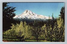 Mount Hood OR-Oregon, Scenic View Vintage c1949 Souvenir Postcard picture