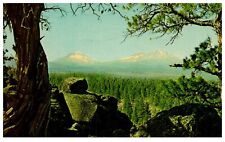 Oregon Three Sisters Mountains Cascade Range Chrome Postcard 1968 picture
