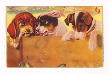 VTG Early 1900's Artist Postcard 3 Puppys Looking Over Wall And One With Bone picture