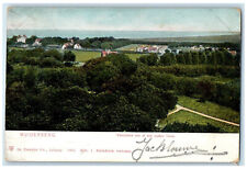 c1905 Panorama From Den Ouden Toren Muiderberg Netherlands Postcard picture