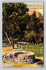 Amarillo TX-Texas, Typical Picnic Grounds, Palo Duro Vintage Souvenir Postcard picture