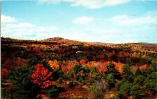 Vermont Foliage View Fall Autumn Mountain Koppel Color Cards UNP VNG Postcard picture