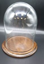 10x8 In Glass Dome With Walnut Wood Base picture