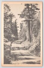 La Pointe WI~Old Mission Inn On Madeline Island Lake Superior~Vintage Postcard picture