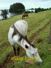 Photo 6x4 Lake Assaroe, Sam's Island and Horses Laputa  c2008 picture