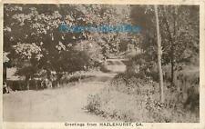 Georgia, GA, Hazlehurst, Greetings from Road Through Woods 1920's Postcard picture